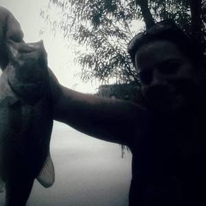 Meet your Posher, Dawnie